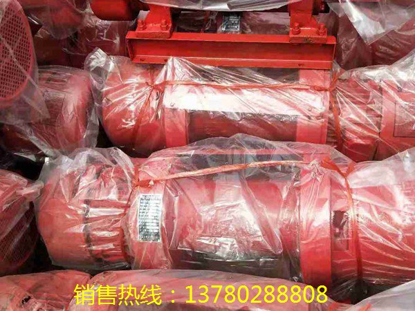 SS80/80施工升降機